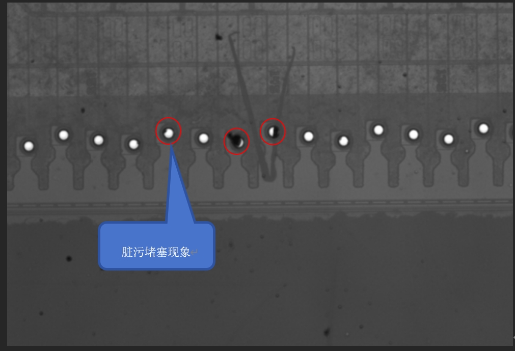 微信截圖_20250210174213.png